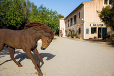 Spain-Mallorca/Menorca-Improve your Riding on Mallorca
